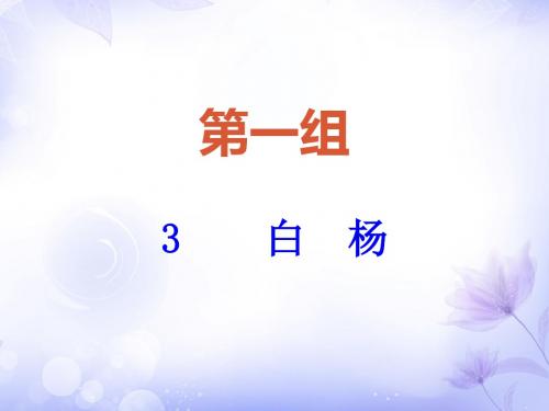 五年级下册语文练习课件-3 白杨_人教新课标   .