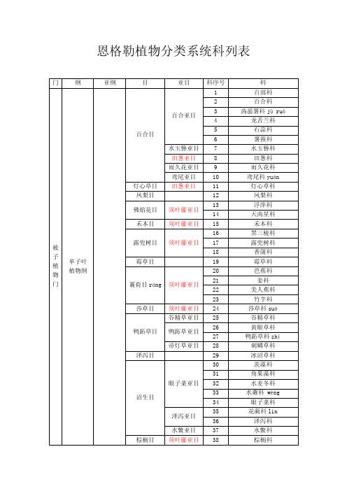 恩格勒系统科属表