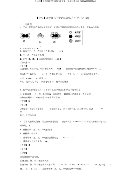 【化学】九年级化学专题汇编化学《化学与生活》(20211002023711)