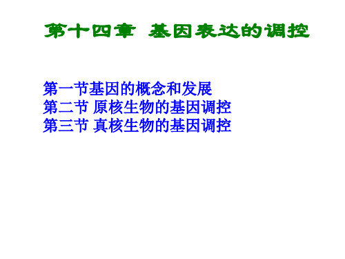 遗传学-14.第十四章缩略   基因表达的调控刘庆昌简要(ppt模板)