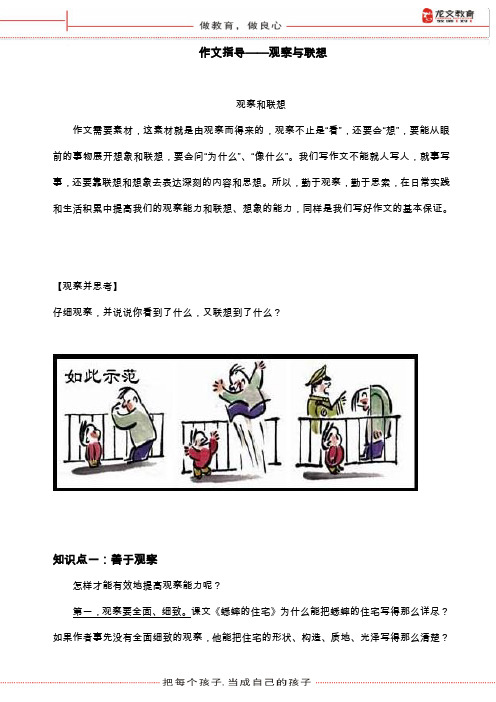 作文指导——观察与联想