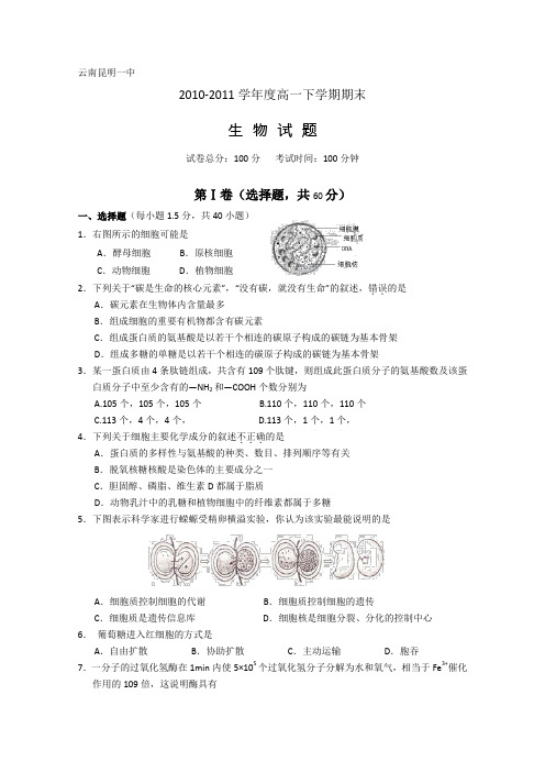 云南省昆明一中10-11学年高一下学期期末考试(生物)