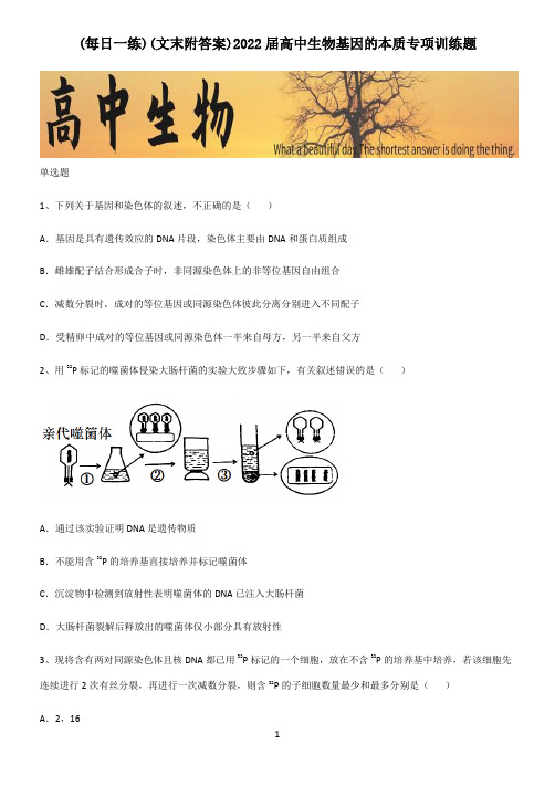 (文末附答案)2022届高中生物基因的本质专项训练题