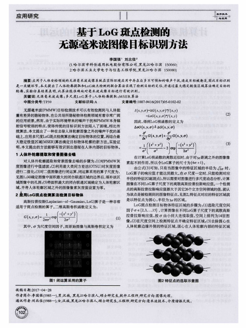 基于LoG斑点检测的无源毫米波图像目标识别方法