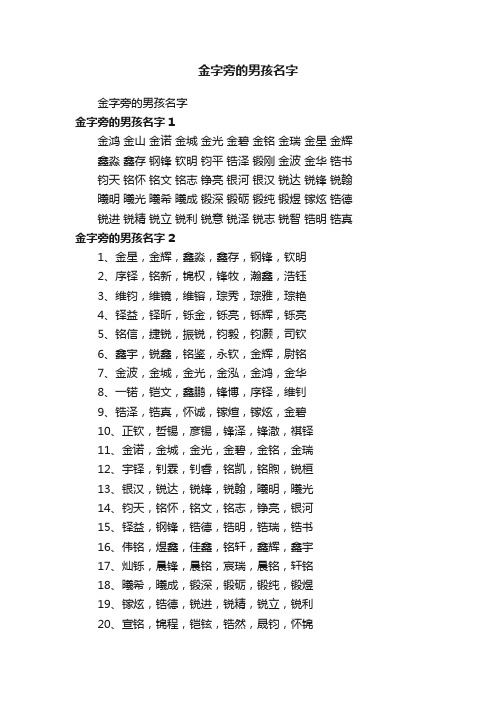 金字旁的男孩名字