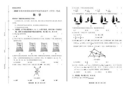 2020年贵州省贵阳中考数学试卷(附答案与解析)