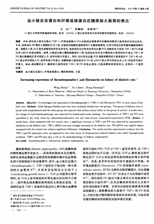 血小板反应蛋白和纤维连接蛋白在糖尿病大鼠肾的表达