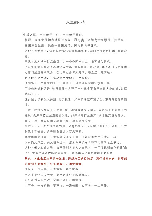 人生如小鸟