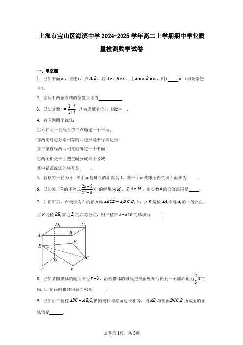 上海市宝山区海滨中学2024-2025学年高二上学期期中学业质量检测数学试卷