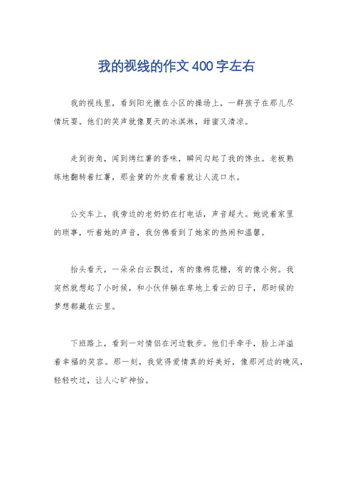 我的视线的作文400字左右