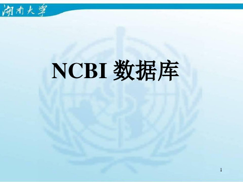 NCBI数据库的使用与功能介绍(教学课件)