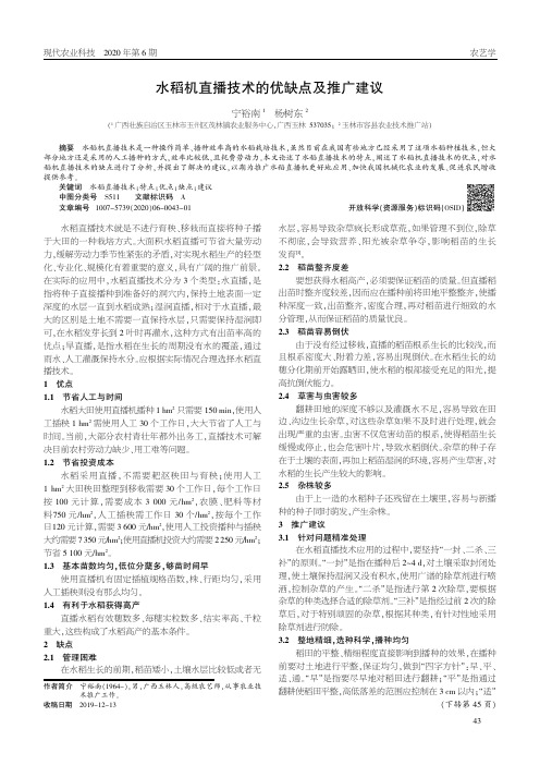 水稻机直播技术的优缺点及推广建议