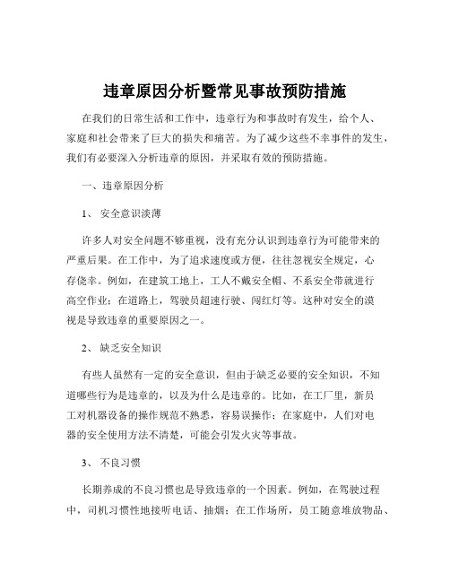 违章原因分析暨常见事故预防措施