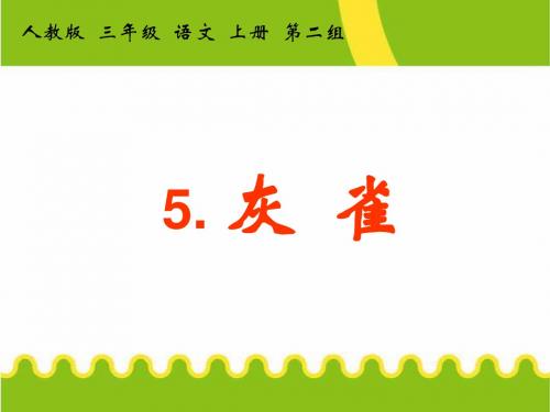 人教版三年级语文上册5、《灰雀》PPT