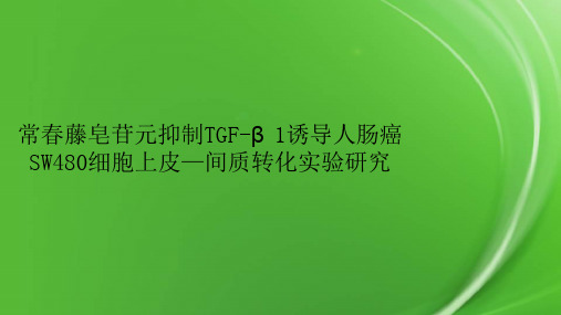 常春藤皂苷元抑制TGF-β1诱导人肠癌SW480细胞上皮—间质转化实验研究