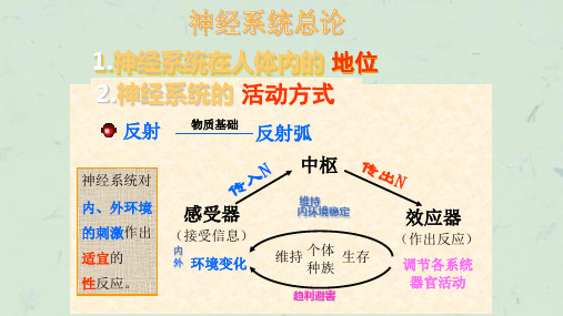 脊髓病变MR诊断课件