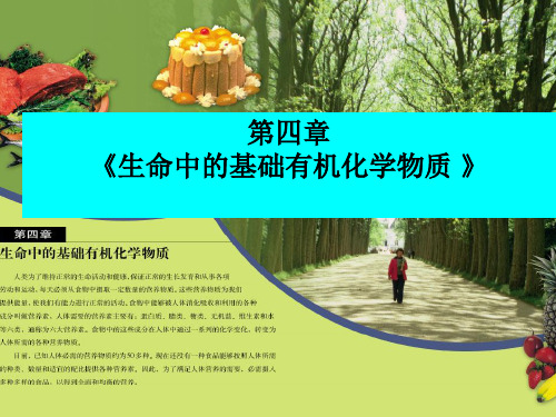 人教版高中化学选修五第四章《生命中的基础有机化学物质 》(习题课)说课课件 (共65张PPT)