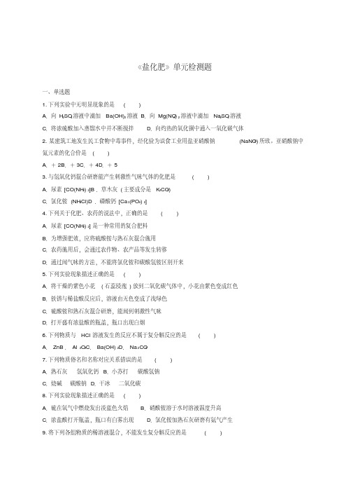 九年级化学下册第十一单元《盐化肥》检测题1(含解析)(新版)新人教版