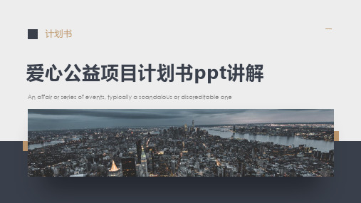 爱心公益项目计划书ppt讲解