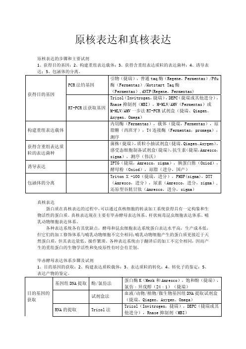 原核表达和真核表达