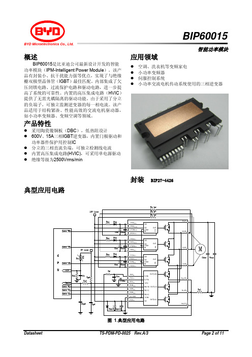 BIP60015 datasheet