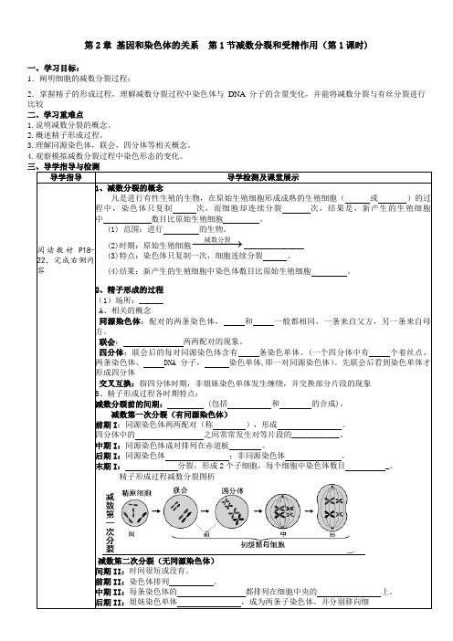 2.1减数分裂和受精作用(第1课时)