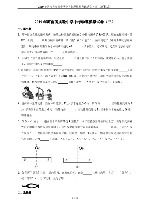 2019年河南省实验中学中考物理模拟考试试卷(三)(解析版)