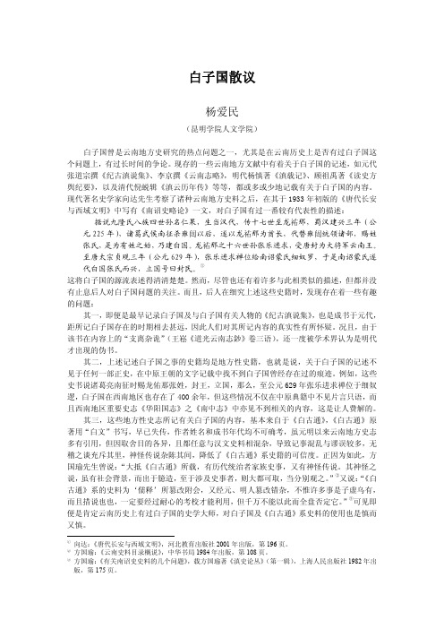 白子国散议（杨爱民）-西南学刊-昆明学院