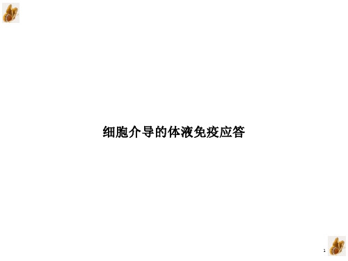 细胞介导的体液免疫应答示范ppt课件