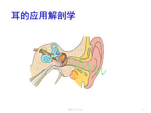 耳的应用解剖学课件