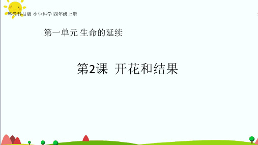 粤教粤科版小学科学四年级上册：1.2《开花和结果》课件