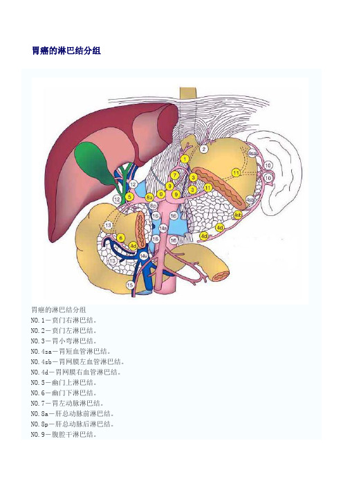 胃癌的淋巴结分组