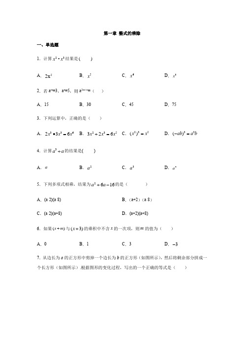 北师大版七年级数学下册第一章 整式的乘除练习(含答案)