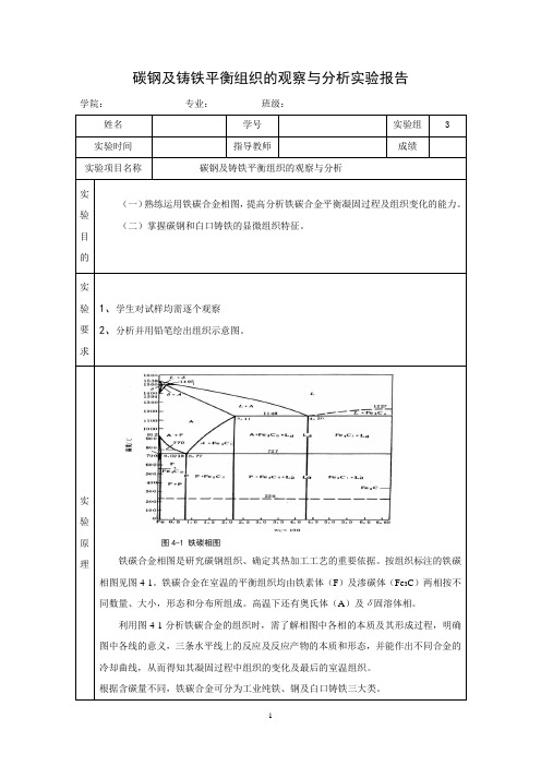 碳钢及铸铁平衡组织观察