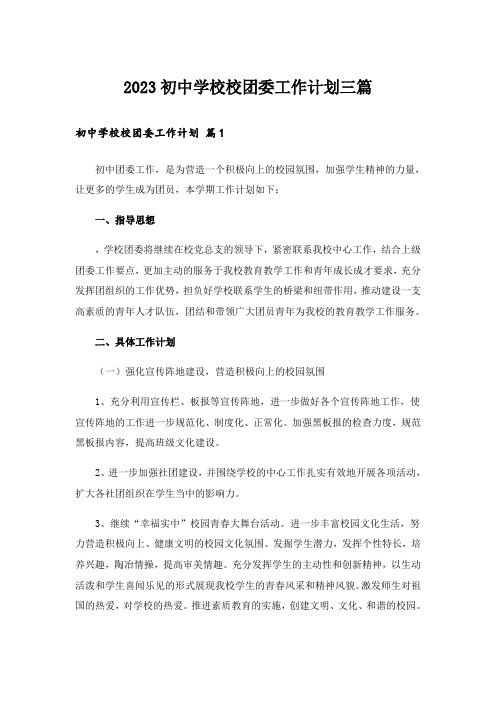 2023初中学校校团委工作计划三篇