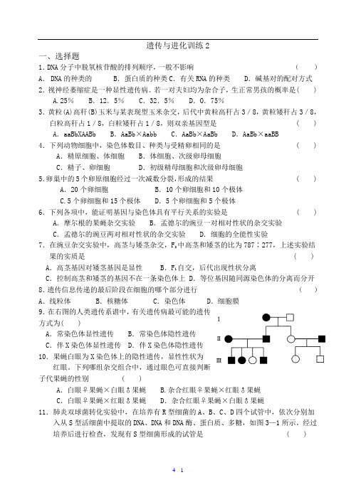 生物人教版高中必修2 遗传与进化遗传与进化训练2