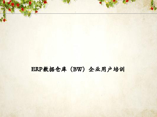 ERP数据仓库BW基本查询功能介绍(ppt 72页)