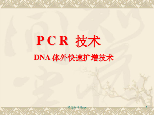 P C R  技术