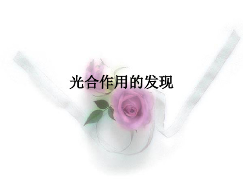 光合作用的发现PPT课件