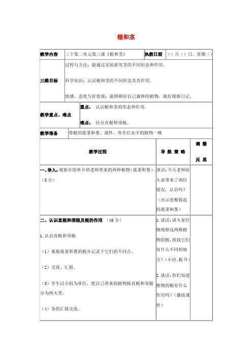 苏教版科学三下《根和茎》教案