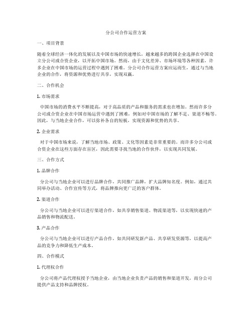 分公司合作运营方案