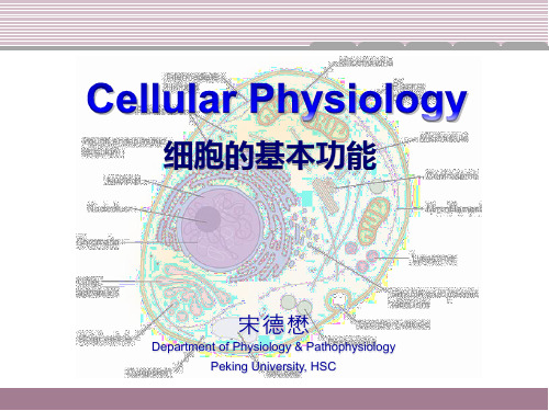 医学生理学课件 cellular physiology