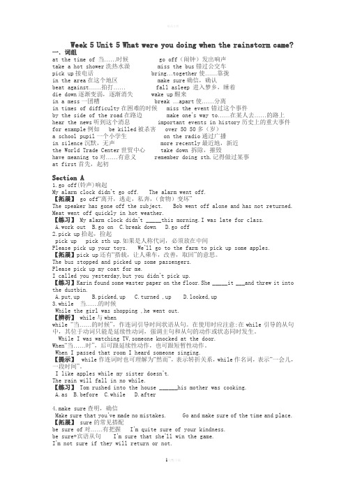 Unit-5-What-were-you-doing-when-the-rainstorm-came-词汇及语法分析