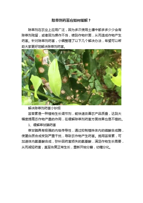 除草剂药害应如何缓解？