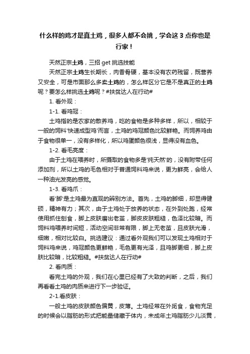 什么样的鸡才是真土鸡，很多人都不会挑，学会这3点你也是行家！