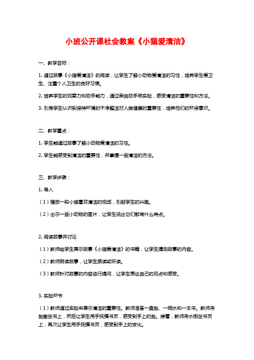 小班公开课社会教案《小猫爱清洁》 (2)