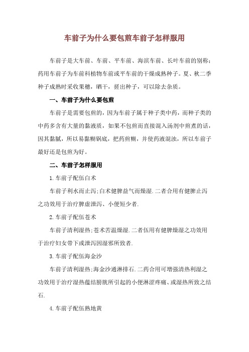 车前子为什么要包煎 车前子怎样服用