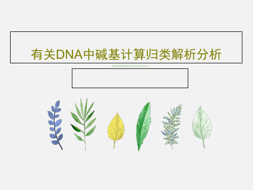 有关DNA中碱基计算归类解析分析PPT20页