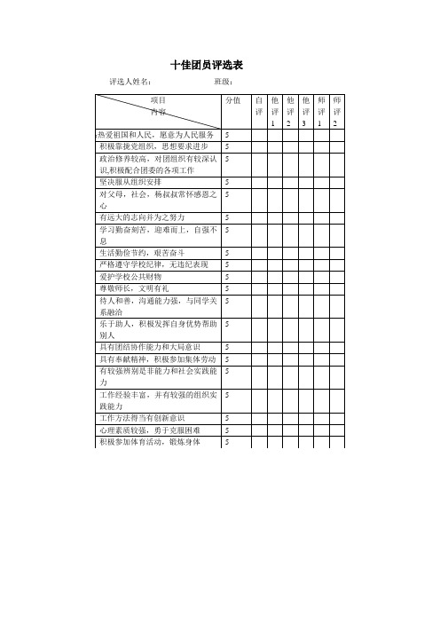 十佳团员评选表