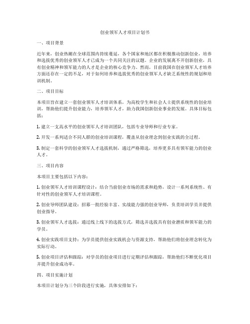 创业领军人才项目计划书